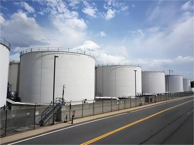 Tree Chem biodiesel plant, potassium methoxide storage, industrial chemical tanks, Tree Chem catalyst facility, biodiesel methanol recovery